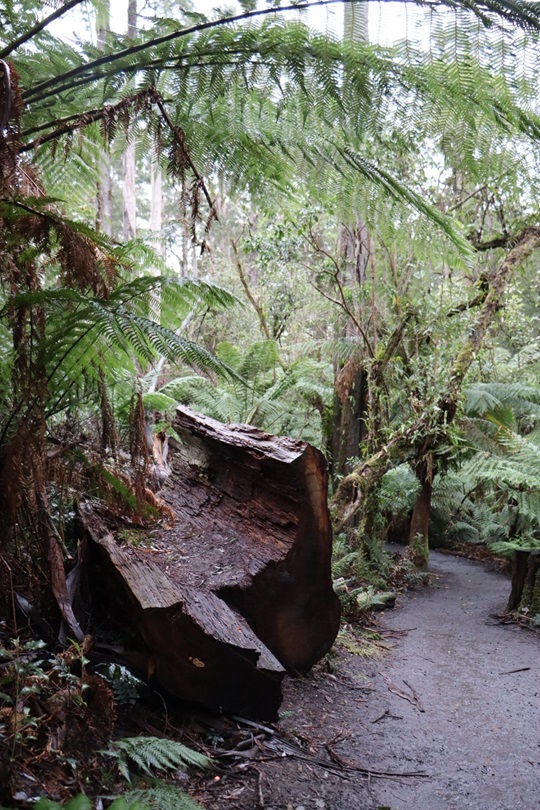【札幌事務所】長期休暇の過ごし方