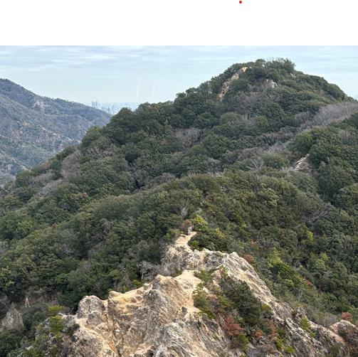 【京都事務所】就職活動関連情報 ～監査法人選びで大切にしていたことなど